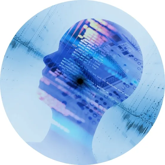 我们的教育课程