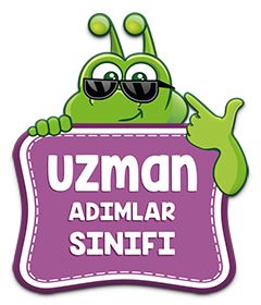 Uzman Adımlar Sınıfı